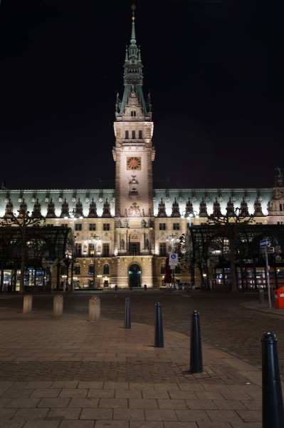 das Rathaus Hamburg