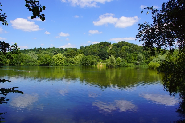 Natur am Müllberg Hummelsbüttel