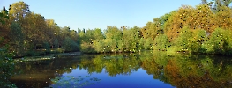 Pano Herbst am Teich