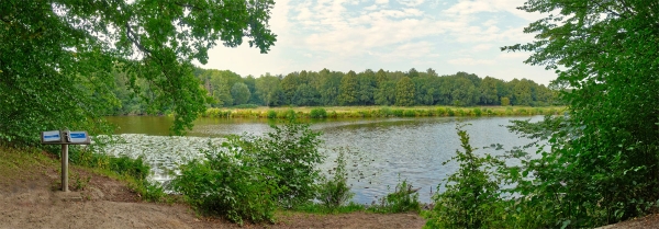 Panorama Volksdorfer Teichwiesen